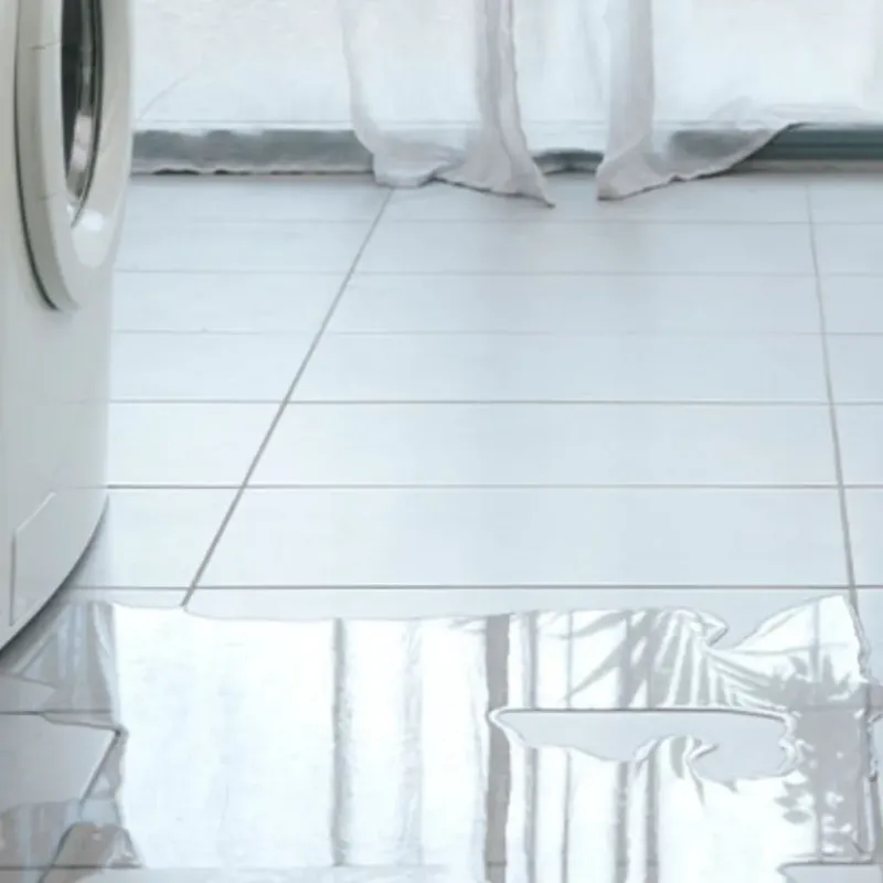 Appliance Leak Cleanup in South Bay, FL