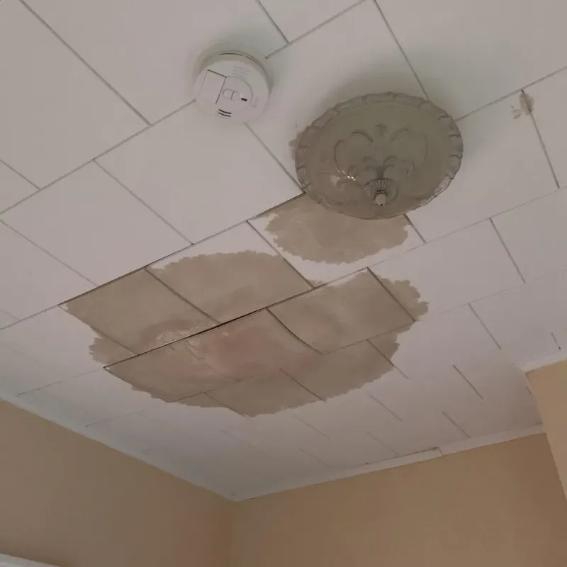 Ceiling Water Damage Repair in South Bay, FL